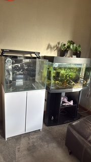 The fishroom